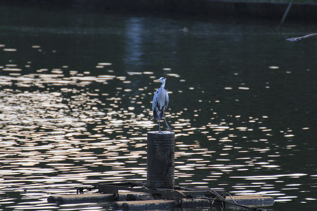 http://i.dcview.tw/gallery/201203/b035c6bcaabbac1d636ea104302da85d.jpg