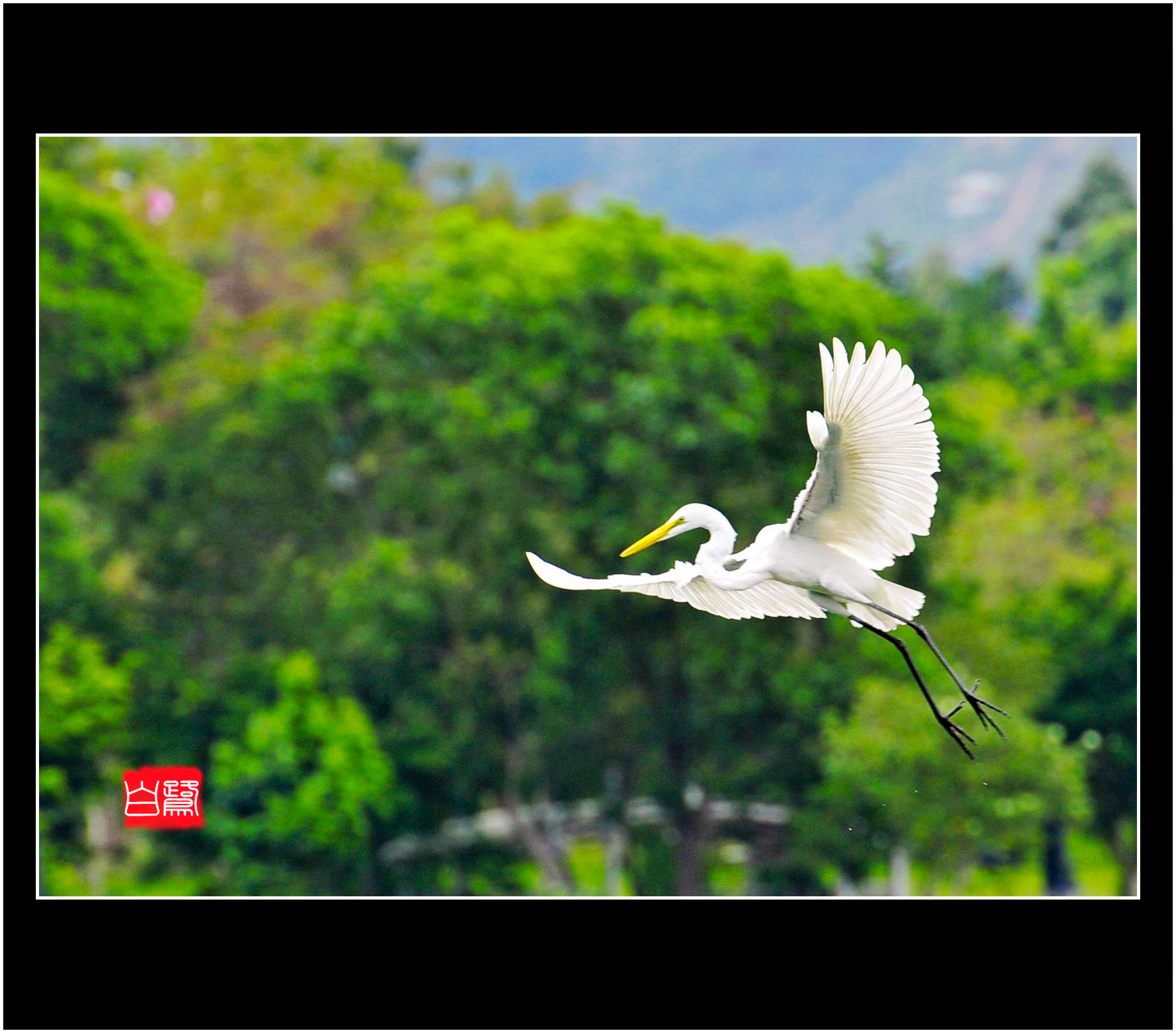 http://i.dcview.tw/gallery/201203/b065ddebe0815429d8b3dd031028f4e4.jpg