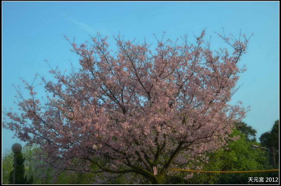 http://i.dcview.tw/gallery/201203/b186dd57fd881451a1a2d9ba883f308a.jpg
