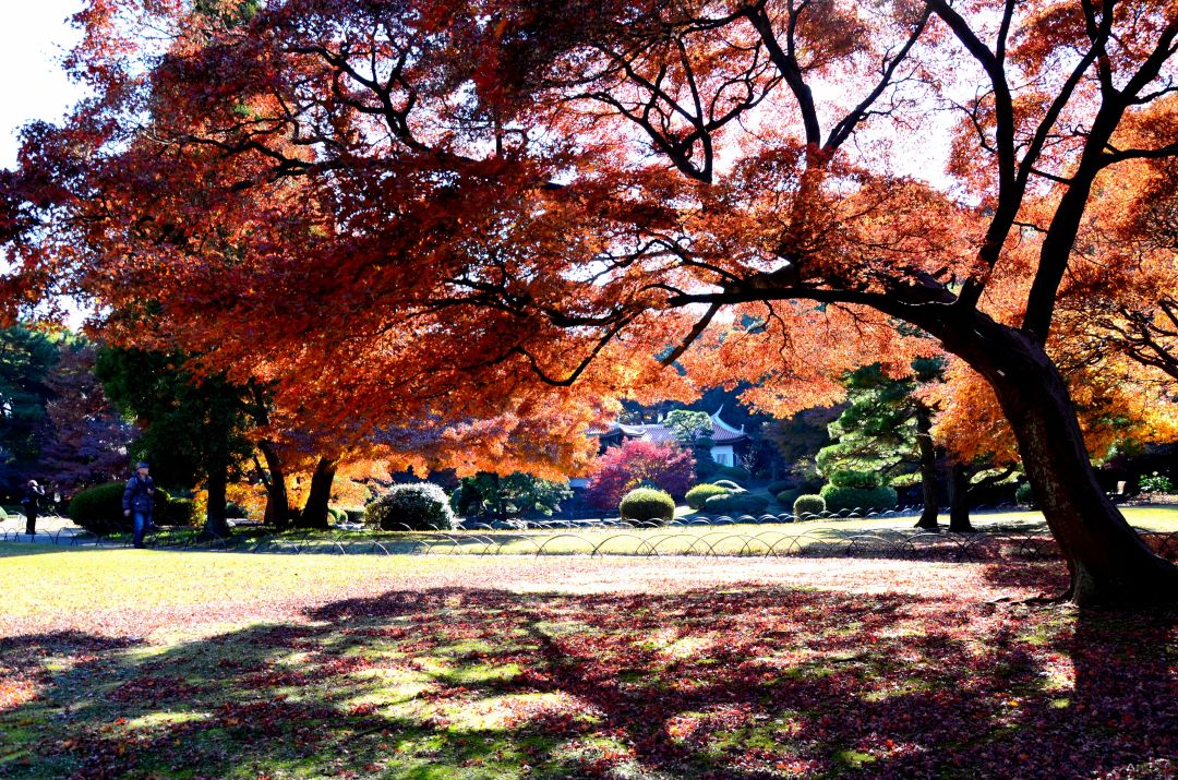 http://i.dcview.tw/gallery/201203/b6ba43d418a05c7854cb812b8aa7cb04.jpg
