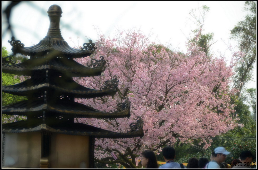 http://i.dcview.tw/gallery/201203/b8879501bb3c08abe07adca3bcbcebee.jpg