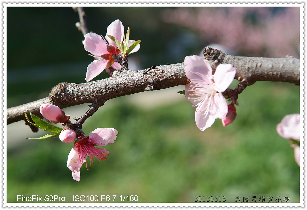 http://i.dcview.tw/gallery/201203/b98bca9e8e718f8656b0d369e6d0e076.jpg