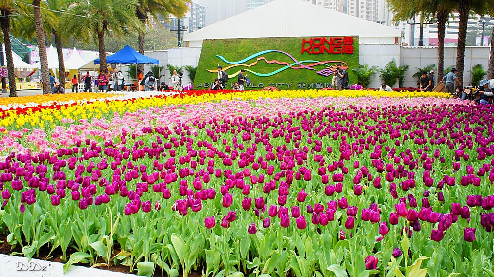 http://i.dcview.tw/gallery/201203/ba98937cb3eedda3c927f58486b073cb.jpg