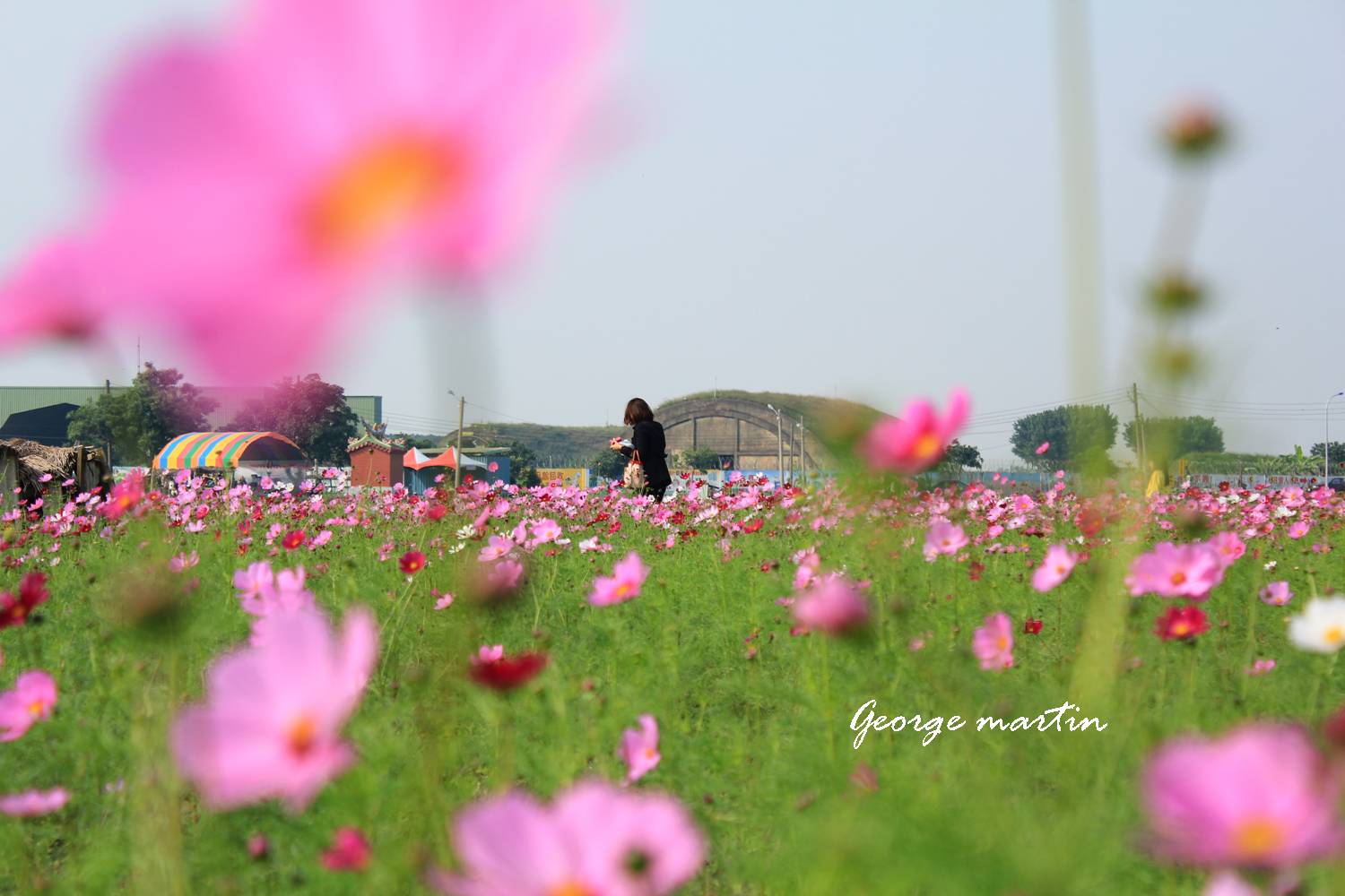 http://i.dcview.tw/gallery/201203/be2201f9dcd6cdac21e68e104141531e.jpg