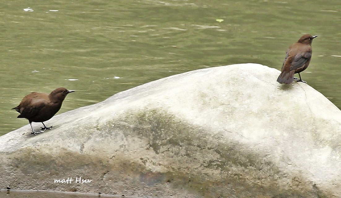 http://i.dcview.tw/gallery/201203/bf2e130d39ae4aa0c1fcdc0e7a453e18.jpg