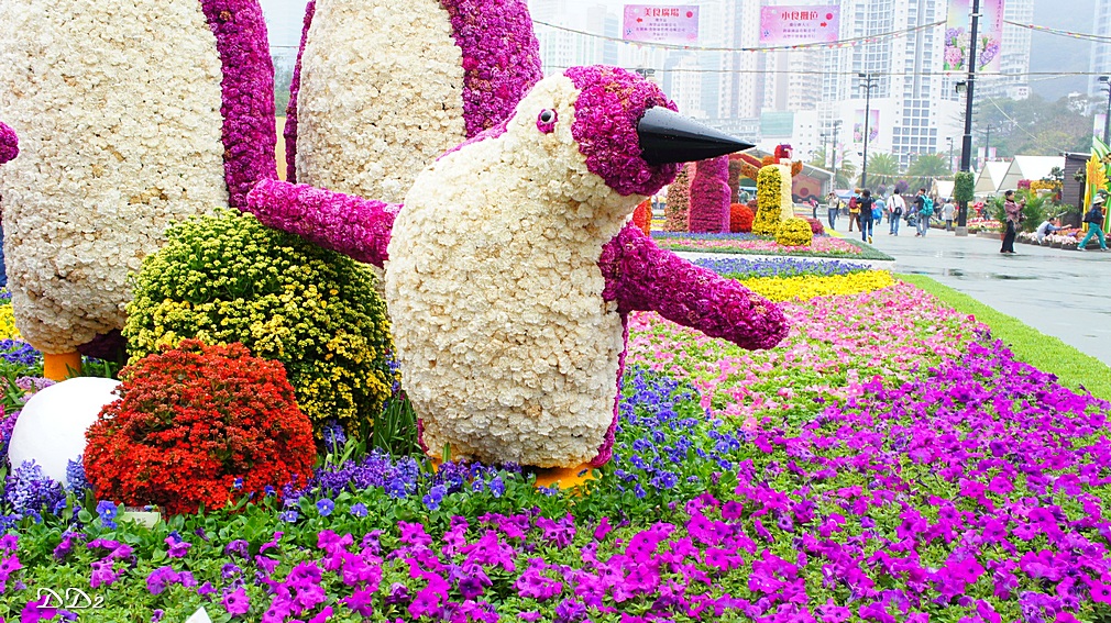 http://i.dcview.tw/gallery/201203/bf5eea82e92a186bbbd2fe3219d0dcb6.jpg