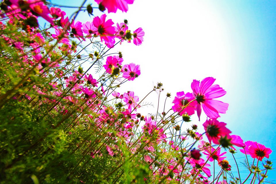 http://i.dcview.tw/gallery/201203/c32b7659ab27dfd649b4d51f77947a1d.jpg