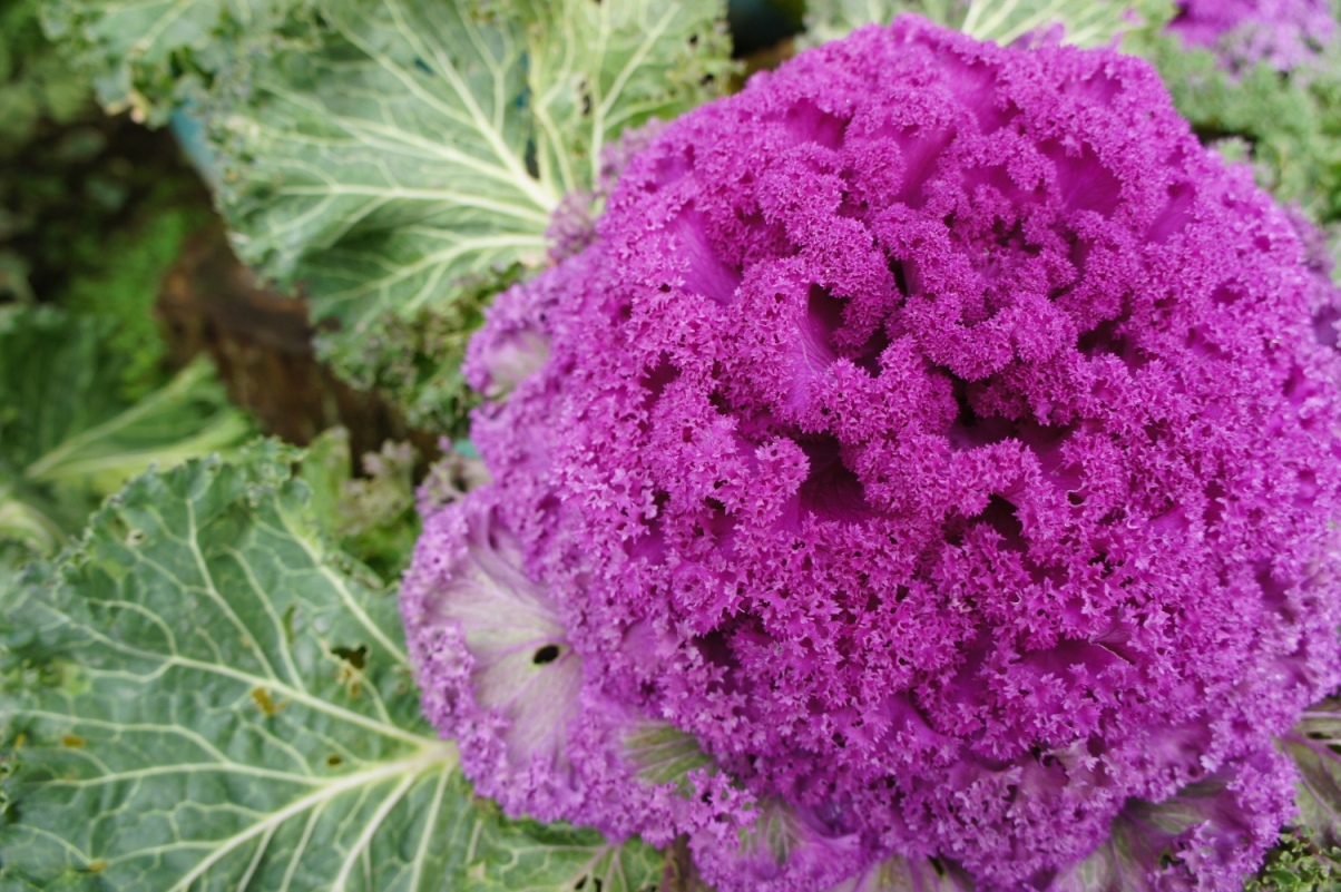 http://i.dcview.tw/gallery/201203/c3ff0d8d098b21d6bda2f8a1cb664a6b.jpg