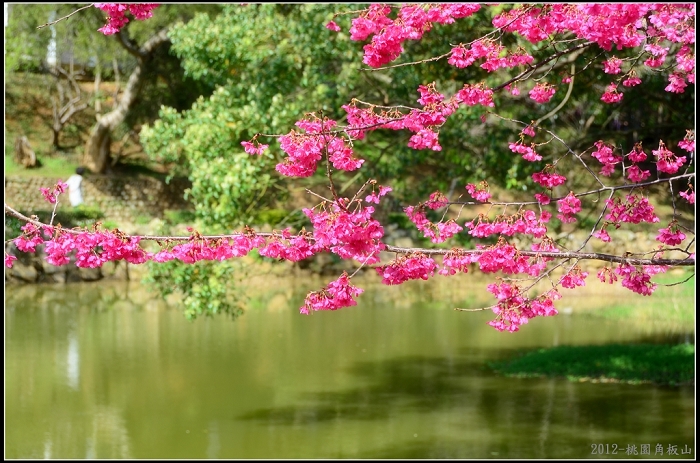 http://i.dcview.tw/gallery/201203/c46f0a3920425a15749d43ddcabe6420.jpg
