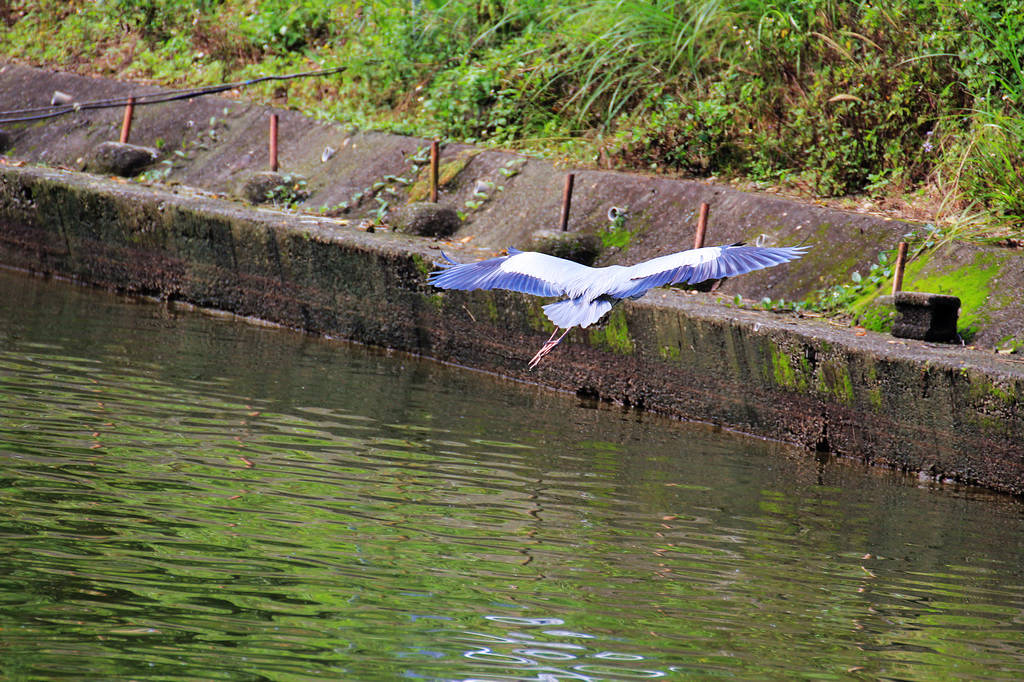 http://i.dcview.tw/gallery/201203/c554d148b8f8e97c63950790cf905c9b.jpg