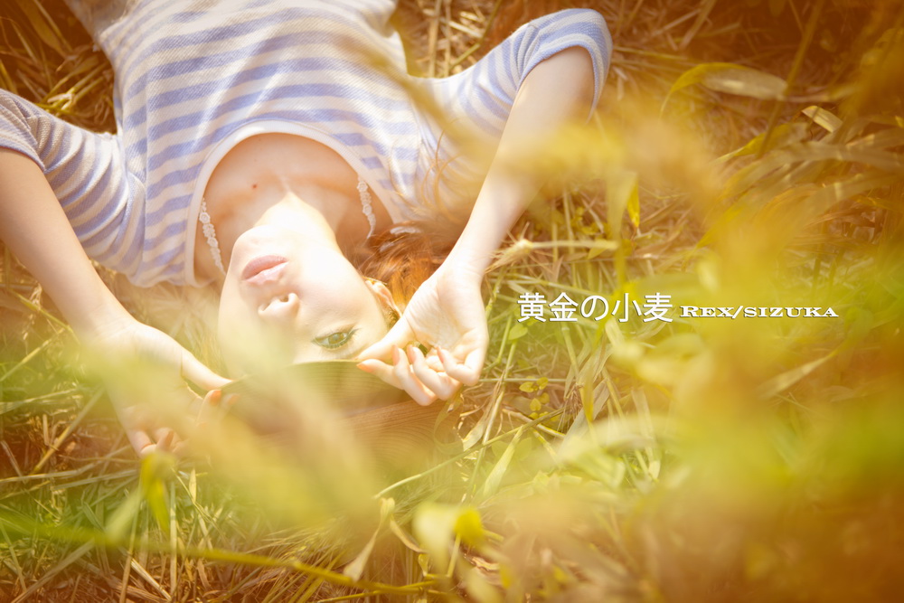 http://i.dcview.tw/gallery/201203/c64677eba961842d0966dc40b35f66d3.jpg