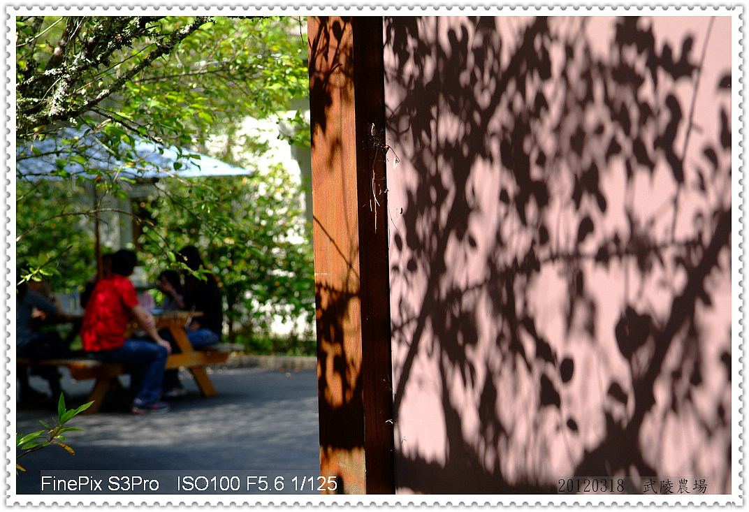 http://i.dcview.tw/gallery/201203/c6f48171be287d387c1a196d0562b5ef.jpg