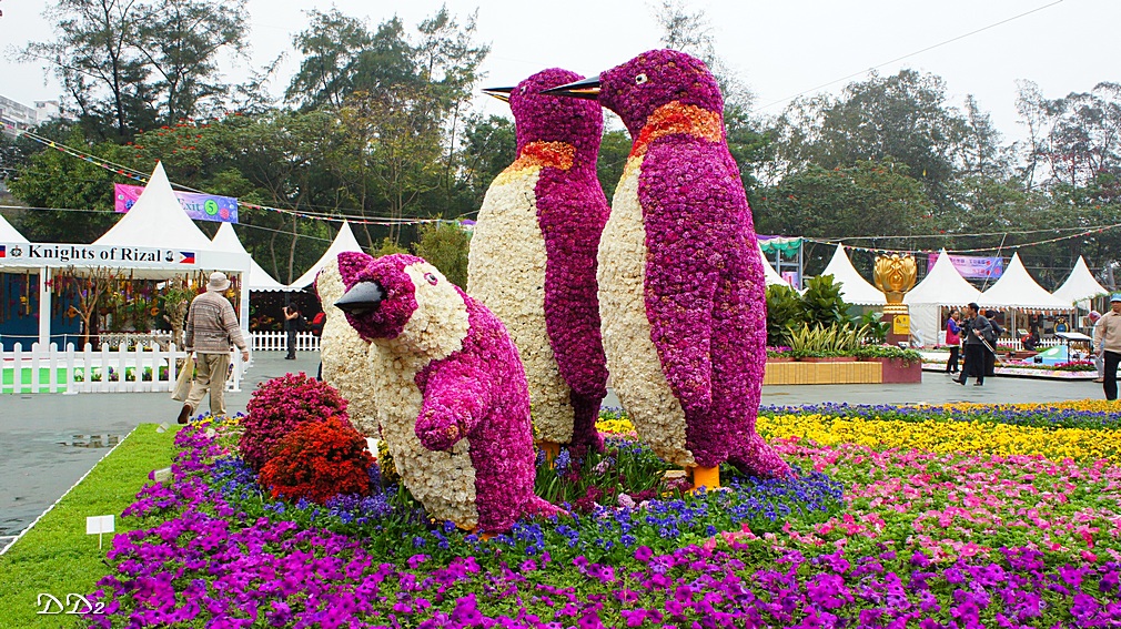 http://i.dcview.tw/gallery/201203/c6f84f9648c55c47a7d38afe69b5885b.jpg