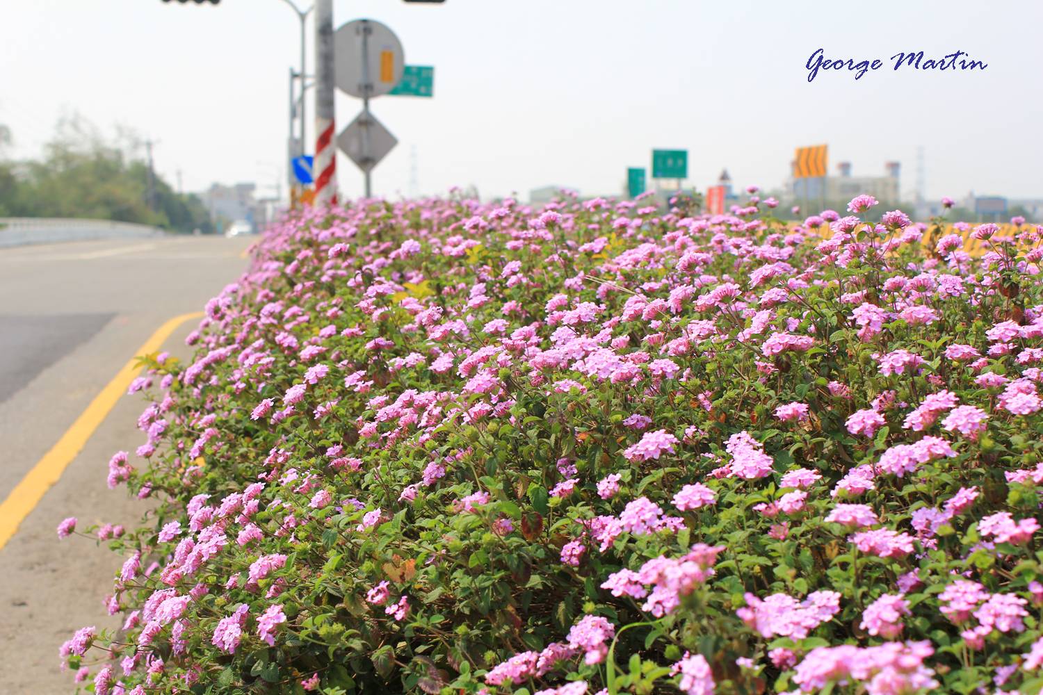 http://i.dcview.tw/gallery/201203/c75a5a149a0905d90bf3dddc980489e2.jpg
