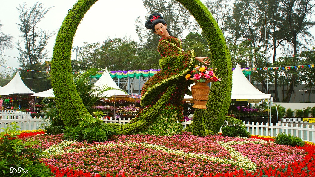 http://i.dcview.tw/gallery/201203/cc08c3b060adbd79580d2c242f51fc05.jpg