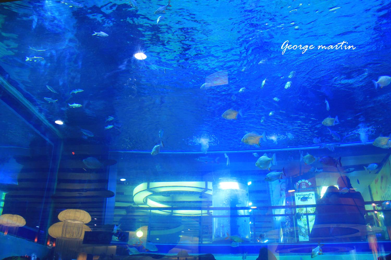 http://i.dcview.tw/gallery/201203/cde66a3ba368a0059aee470798ccf5c8.jpg