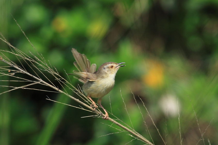 http://i.dcview.tw/gallery/201203/d0dbe485d14582e822a892112f5090d4.jpg