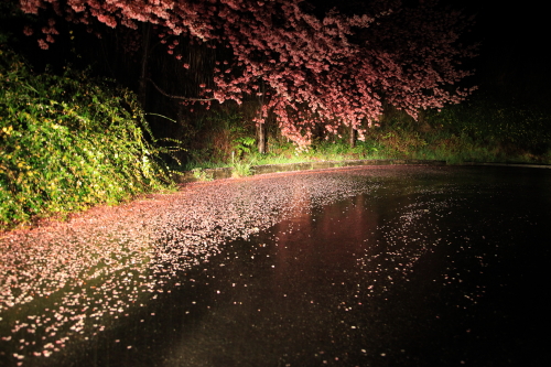 http://i.dcview.tw/gallery/201203/d1c72c297654dcb1bb90e23b6e25c2ec.jpg