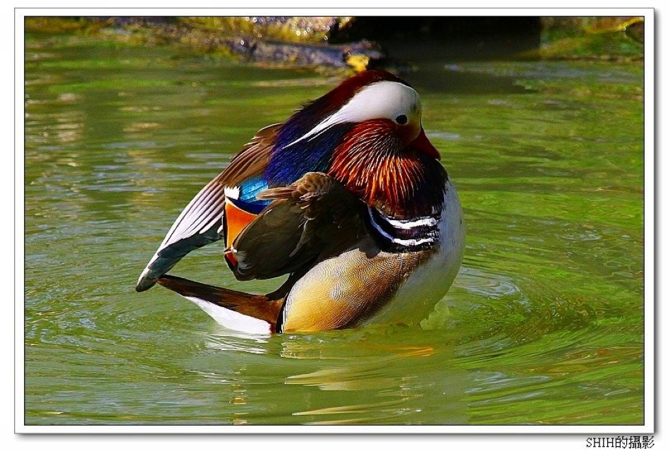http://i.dcview.tw/gallery/201203/d2a4b2eeb15f4888e5f0ad7125b37e74.jpg