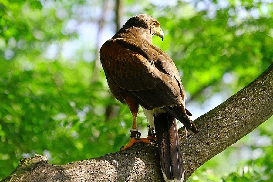 http://i.dcview.tw/gallery/201203/d35accf7e8414e9b873bd5f0f3b463cb.jpg