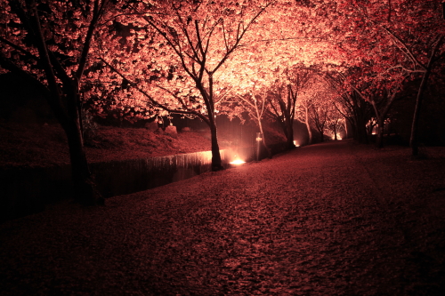 http://i.dcview.tw/gallery/201203/d71cabd498395d5bef4bdefb14d3a540.jpg