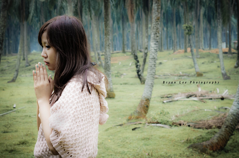 http://i.dcview.tw/gallery/201203/d7c1417874eb5ee9b12f40a14a6a4c59.jpg