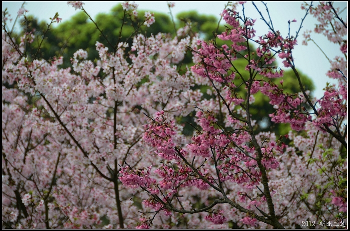 http://i.dcview.tw/gallery/201203/d98308875c3c77b00e2387a464a2fd69.jpg