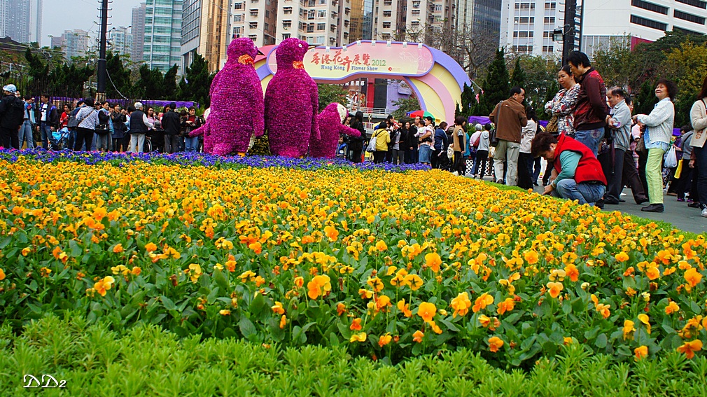 http://i.dcview.tw/gallery/201203/de57bd93838657d50839c8d78d288151.jpg