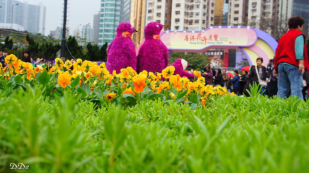 http://i.dcview.tw/gallery/201203/dfa2796dd060f48bc229995677c73d49.jpg