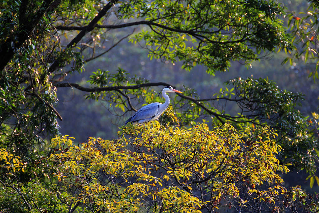http://i.dcview.tw/gallery/201203/e09a435d09d2368547ba27410bb8a36c.jpg
