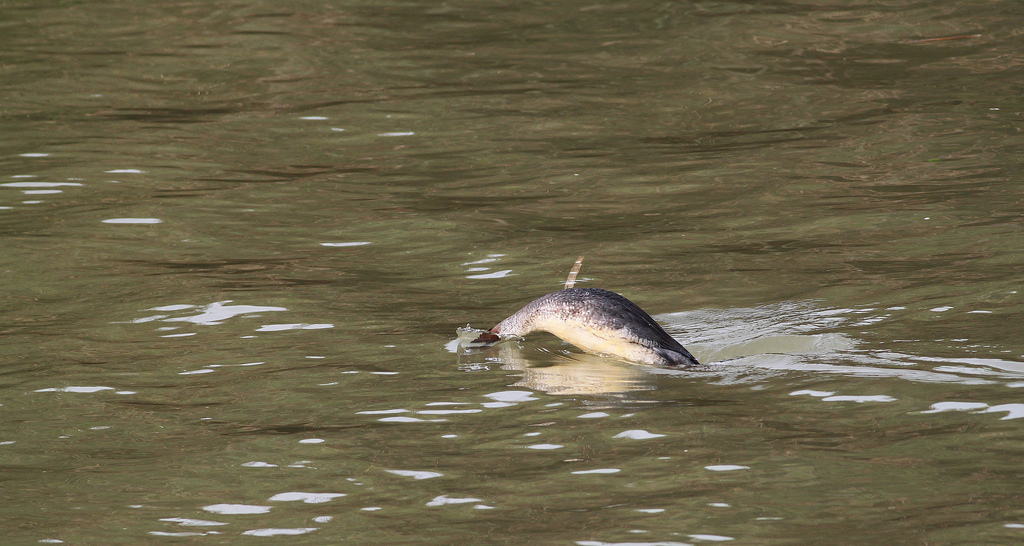 http://i.dcview.tw/gallery/201203/e533617b8112d0eee35a0c7fca96325f.jpg