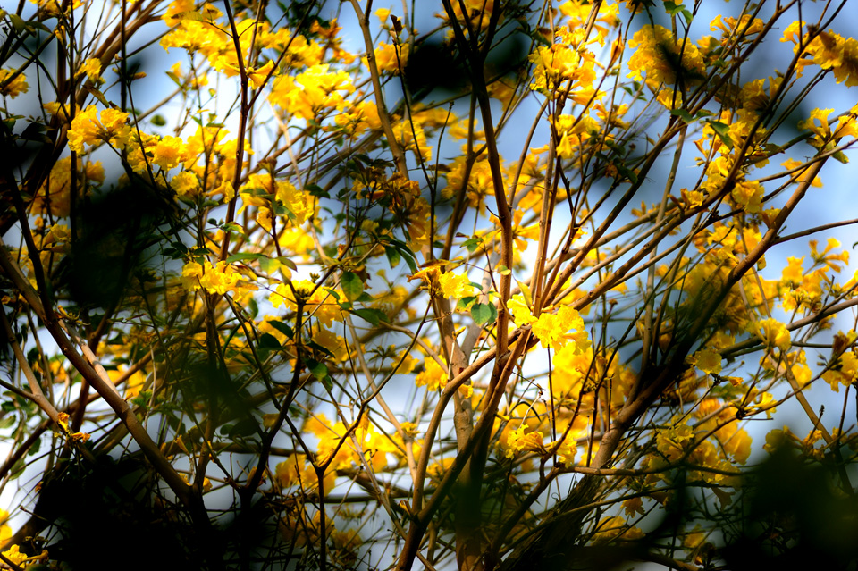 http://i.dcview.tw/gallery/201203/e763a60e3ec39688df68f993bc46d806.jpg