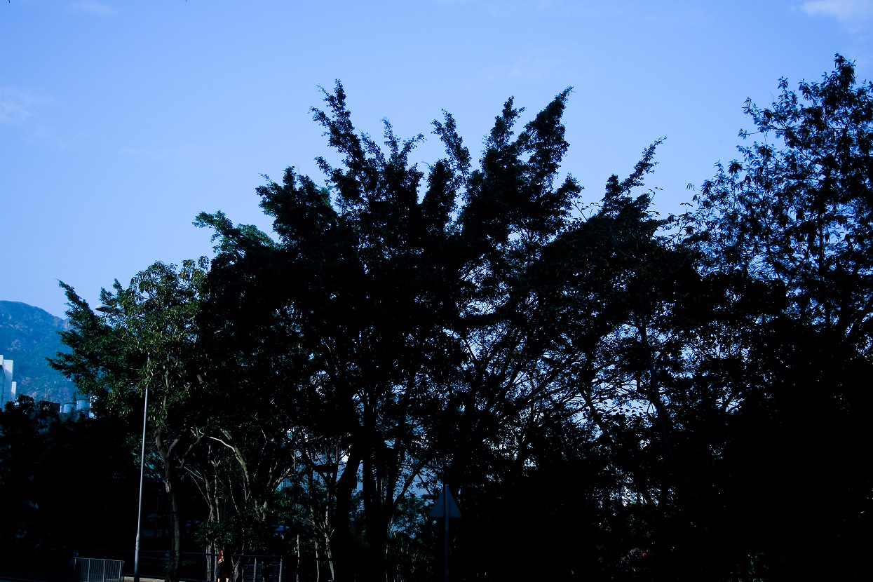 http://i.dcview.tw/gallery/201203/e87ee7392758d32f4c64aaa284bc08da.jpg
