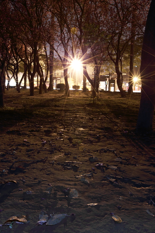 http://i.dcview.tw/gallery/201203/edb5efd486c62fc55846ff0121f68f52.jpg