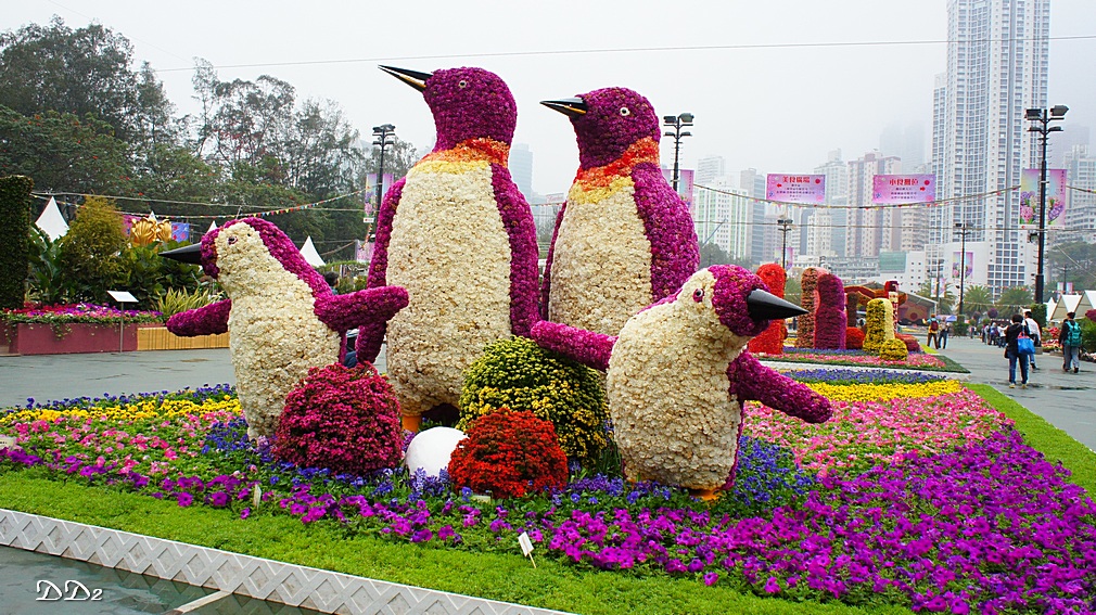 http://i.dcview.tw/gallery/201203/eefc3774b3b258ff191e149c841df495.jpg
