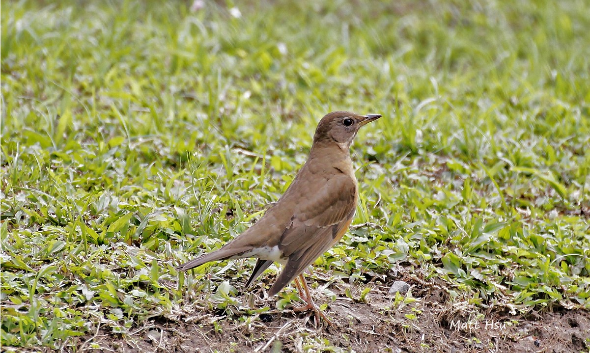 http://i.dcview.tw/gallery/201203/f01f21ed8c4c7191bdea7f9ea0161de0.jpg