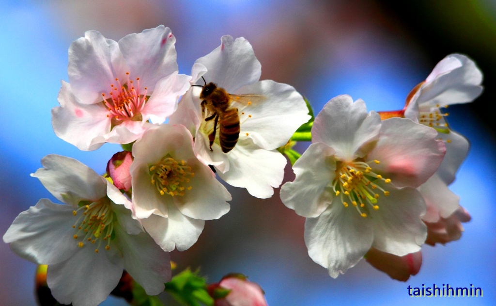 http://i.dcview.tw/gallery/201203/f1846498e6d1ac9949ae5e42d27de138.jpg