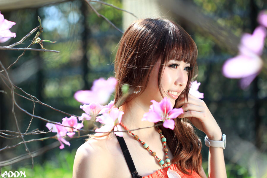 http://i.dcview.tw/gallery/201203/f28b3454a5f50dfbf0887c1d8521c2f2.jpg