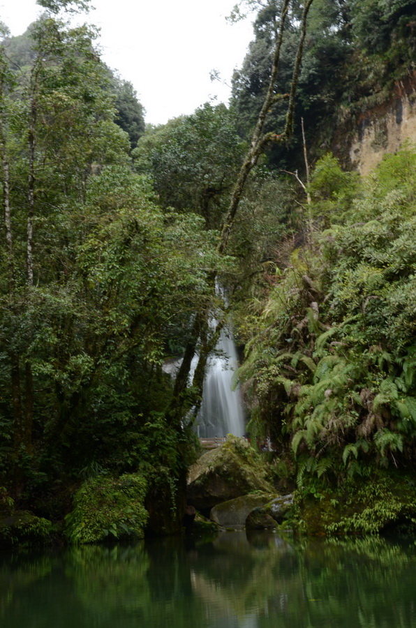 http://i.dcview.tw/gallery/201203/f5c7b2a03099857a1cbd434cb40993ab.jpg