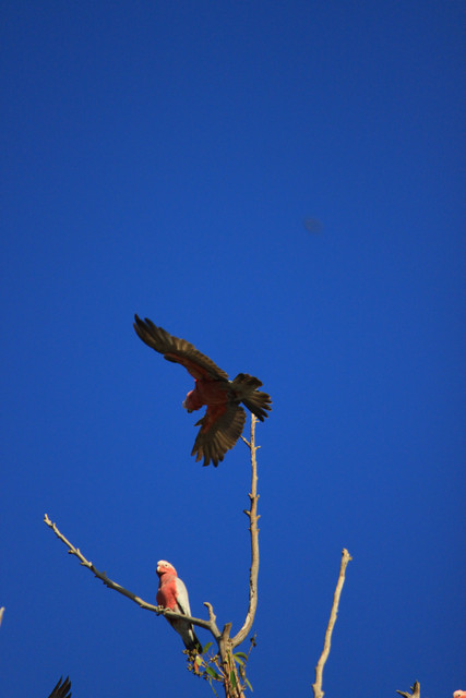 http://i.dcview.tw/gallery/201203/f6dc897a20f467dbeb7c4e064f9a0c37.jpg