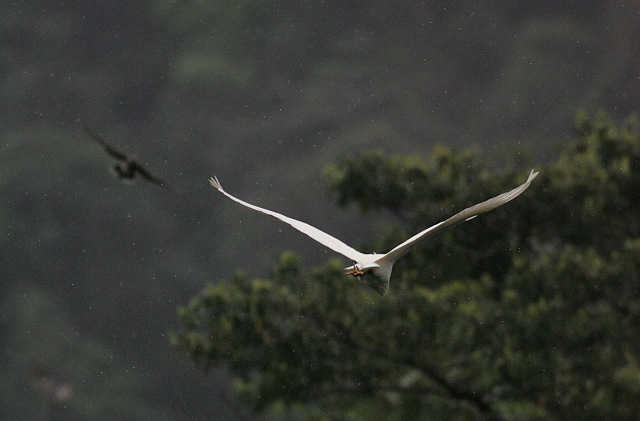 http://i.dcview.tw/gallery/201203/f73946541b994db425a0c5fb2484f074.jpg