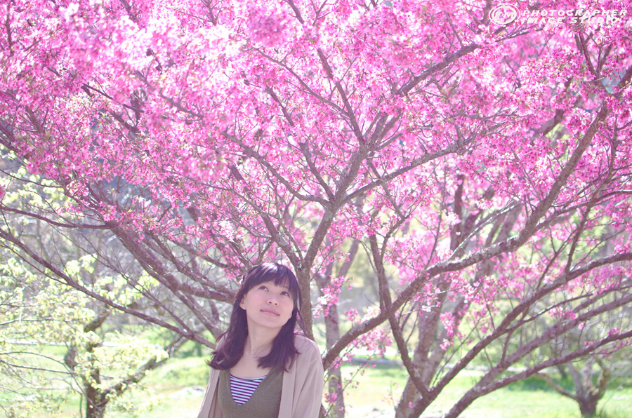 http://i.dcview.tw/gallery/201203/f943fdbec3fd1fa5e0df54c04fd19a32.jpg