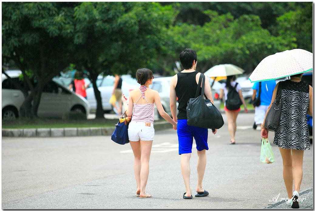 http://i.dcview.tw/gallery/201203/f9fd66662cf9674abf90d702d4c400a4.jpg