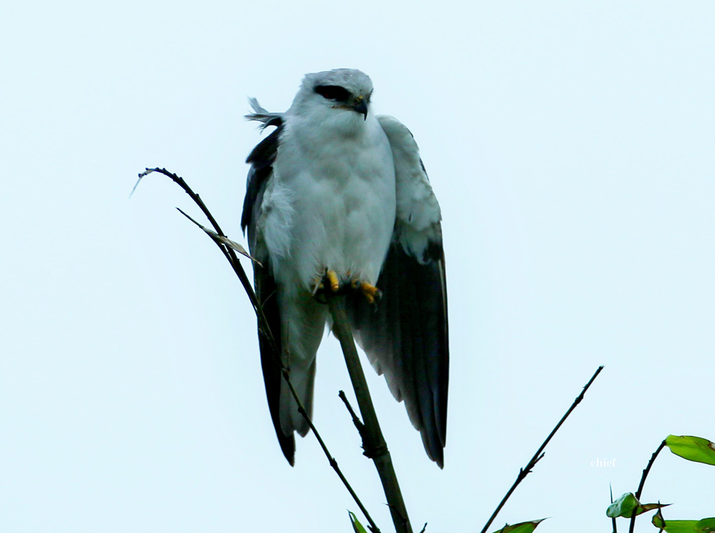 http://i.dcview.tw/gallery/201203/fb5b23ec8615ee1bc547652ce8ecbfa9.jpg