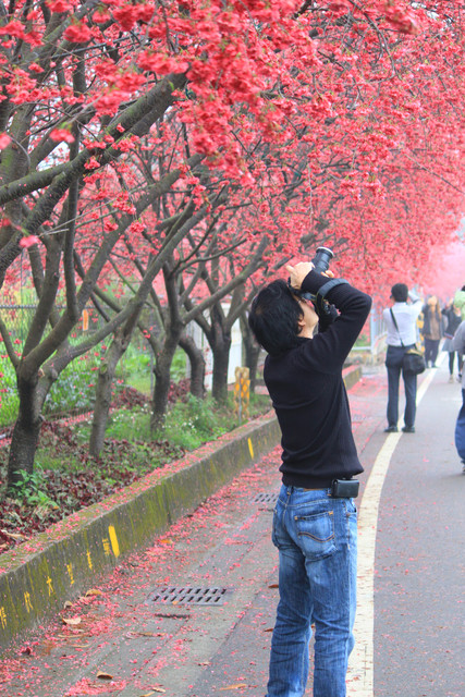 http://i.dcview.tw/gallery/201203/fbd356512a6d99c418703d2aadc8c9ab.jpg