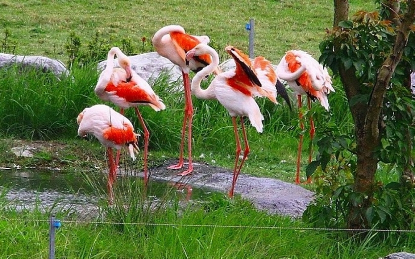http://i.dcview.tw/gallery/201203/fbd836365f629ff6fe64f4069339b9de.jpg