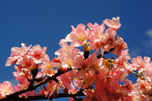 http://i.dcview.tw/gallery/201203/fbfff532d619d501ed5f08d30809e0aa.jpg
