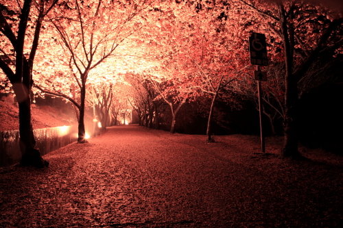 http://i.dcview.tw/gallery/201203/fd329d6a35f964e6eb40d97127396bf4.jpg