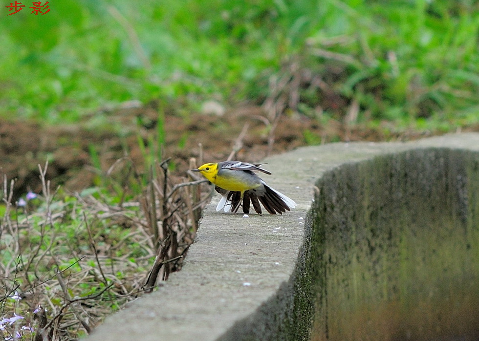 http://i.dcview.tw/gallery/201204/02a5a8c91a83c778bdd9d69baf577fbe.jpg