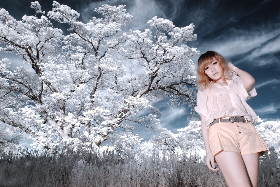 http://i.dcview.tw/gallery/201204/03d9603a2ebe7fba274388372d069c20.jpg